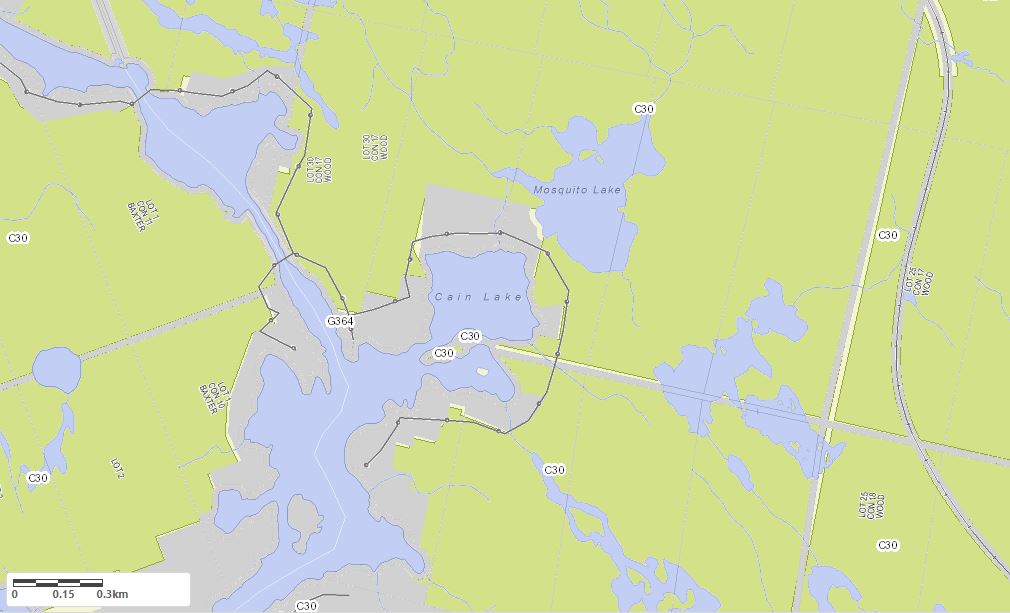 Crown Land Map of Cain Lake in Municipality of Muskoka Lakes and the District of Muskoka